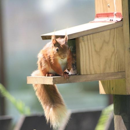 スコーフェル ホテル ロススウェイト エクステリア 写真